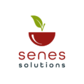 logo-senes-solutions-2020 - création agence matiere grise